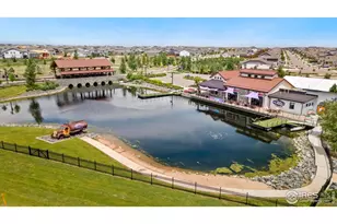 1813 Garden Flourish Ct, Windsor, CO 80550 - Photo 35