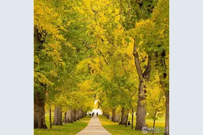 302 N Meldrum St #313, Fort Collins, CO 80521 - Photo 35