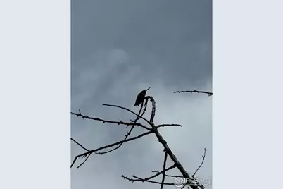 3501 Raptor Ridge Ln, Laporte, CO 80535 - Photo 21