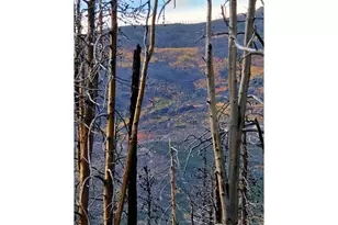 75 Sheep Horn Ct, Bellvue, CO 80512 - Photo 1