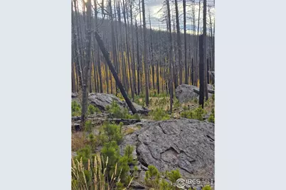 75 Sheep Horn Ct, Bellvue, CO 80512 - Photo 13