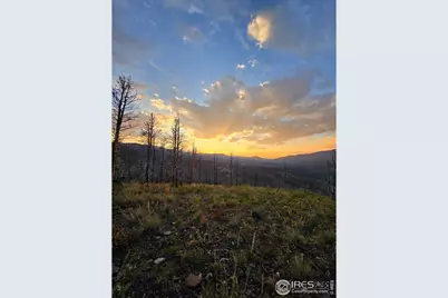 75 Sheep Horn Ct, Bellvue, CO 80512 - Photo 21