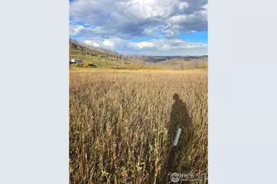 75 Sheep Horn Ct, Bellvue, CO 80512 - Photo 9