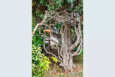 2727 Tennyson St, Denver, CO 80212 - Photo 31