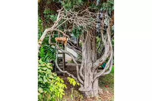 2727 Tennyson St, Denver, CO 80212 - Photo 31