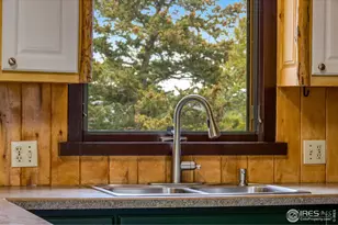 679 Mt Massive Dr, Livermore, CO 80536 - Photo 21