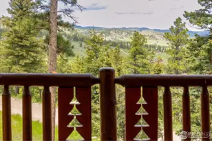 679 Mt Massive Dr, Livermore, CO 80536 - Photo 5