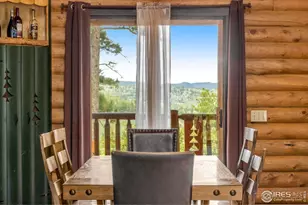 679 Mt Massive Dr, Livermore, CO 80536 - Photo 17