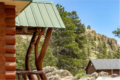 679 Mount Massive Dr, Livermore, CO 80536 - Photo 9