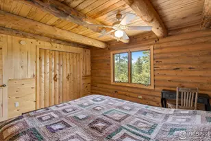 679 Mt Massive Dr, Livermore, CO 80536 - Photo 29