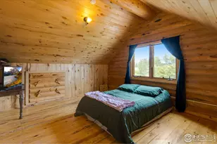 679 Mt Massive Dr, Livermore, CO 80536 - Photo 35