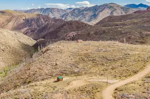 1222 Meadow Mountain Dr, Livermore, CO 80536 - Photo 1