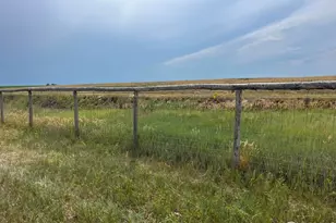 10817 N Co Rd 3, Wellington, CO 80549 - Photo 49