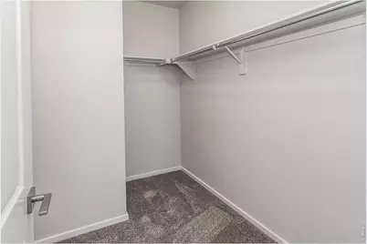 774 Trumpet Ct, Windsor, CO 80550 - Photo 5
