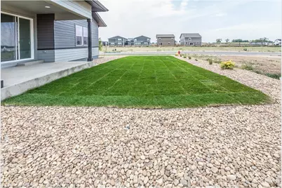 774 Trumpet Ct, Windsor, CO 80550 - Photo 41