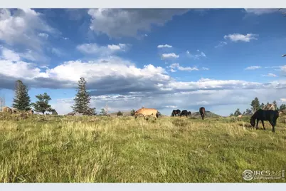 3235 Davis Ranch Rd, Bellvue, CO 80512 - Photo 13