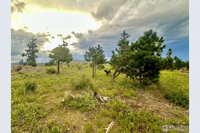 3235 Davis Ranch Rd, Bellvue, CO 80512 - Photo 15