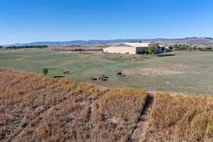 1721 W Co Rd 68, Fort Collins, CO 80524 - Photo 3