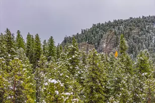 200 Severance Lodge Rd, Black Hawk, CO 80422 - Photo 37