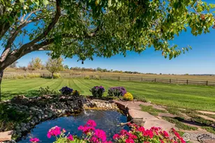 6798 Snead Ct, Longmont, CO 80503 - Photo 35