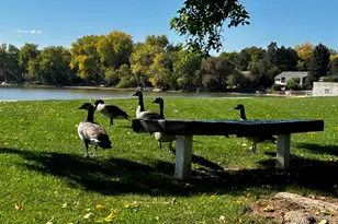 3036 Regatta Ln, Fort Collins, CO 80525 - Photo 33