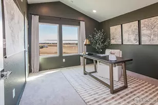 977 Trumpet Ln, Windsor, CO 80550 - Photo 25