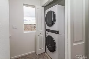 981 Trumpet Ln, Windsor, CO 80550 - Photo 27