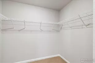 7413 Crystal Ave, Frederick, CO 80530 - Photo 9
