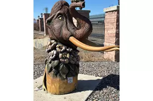 7457 Slate Pl, Frederick, CO 80530 - Photo 27