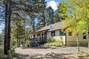 11982 Peak To Peak Dr, Allenspark, CO 80510 - Photo 47