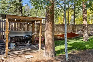 11982 Peak To Peak Dr, Allenspark, CO 80510 - Photo 31