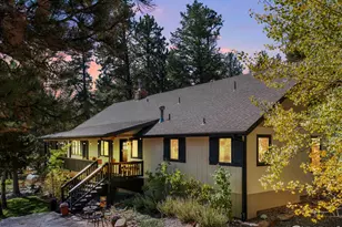 11982 Peak To Peak Dr, Allenspark, CO 80510 - Photo 3