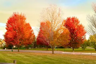 1951 Sundance Dr, Longmont, CO 80504 - Photo 35