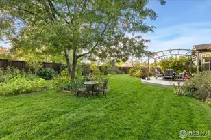 623 Foxtail Way, Severance, CO 80550 - Photo 27