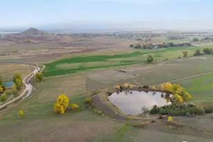 8418 Stirrup Ln, Longmont, CO 80503 - Photo 41