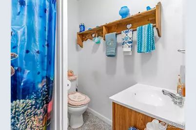 831 Larkspur Rd, Estes Park, CO 80517 - Photo 21