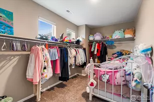 6054 Story Rd, Timnath, CO 80547 - Photo 35