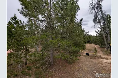 44 Catamount Ct, Red Feather Lakes, CO 80545 - Photo 7