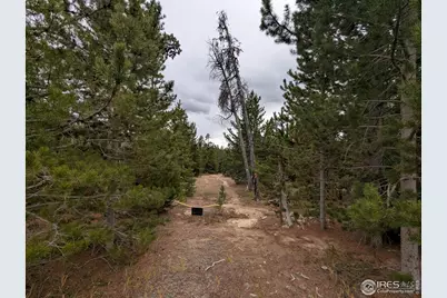 44 Catamount Ct, Red Feather Lakes, CO 80545 - Photo 1