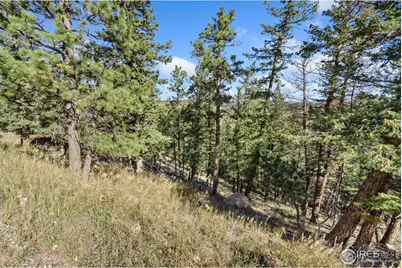 90 Sunlight Cir, Livermore, CO 80536 - Photo 11