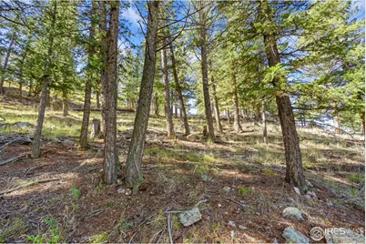 90 Sunlight Cir, Livermore, CO 80536 - Photo 17