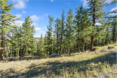 90 Sunlight Cir, Livermore, CO 80536 - Photo 15