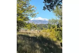 11375 Jasper Rd, Lafayette, CO 80026 - Photo 39