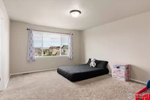 1205 Muskox St, Severance, CO 80550 - Photo 21