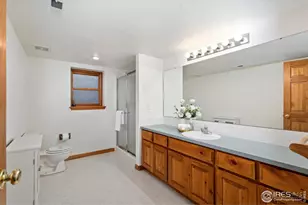 2909 Pronghorn Ct, Loveland, CO 80537 - Photo 27