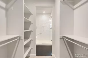 679 Red Jewel Dr, Windsor, CO 80550 - Photo 21