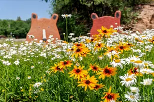 209 Ewald Ave, Lyons, CO 80540 - Photo 43