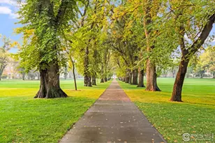 500 Wood St, Fort Collins, CO 80521 - Photo 19