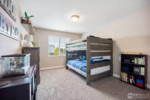 1621 Sorenson Dr, Windsor, CO 80550 - Photo 19