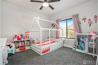 894 Turkey Roost Dr, Livermore, CO 80536 - Photo 31